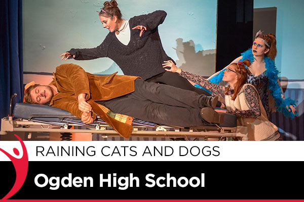 Raining Cats and Dogs - Ogden